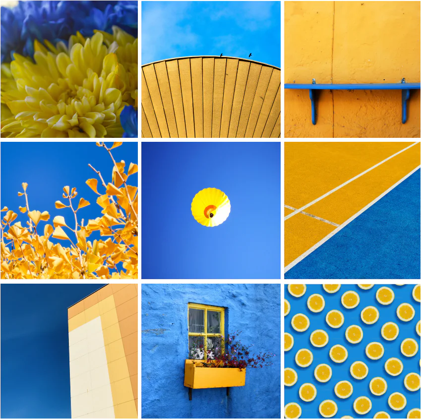 A moodboard of blue and yellow photography — architecture, flowers and textures — used to explore JoyForm’s visual mood.